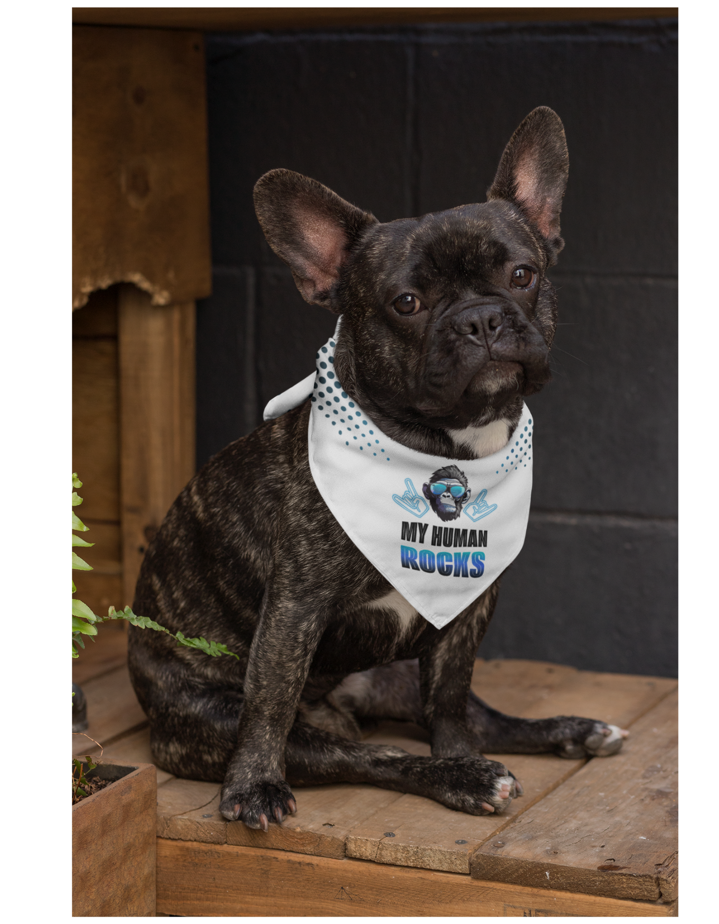 Dog bandana Cool Human / Blue