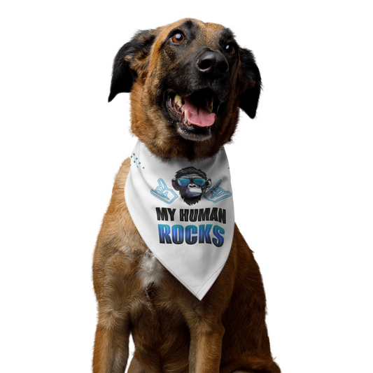 Dog bandana Cool Human / Blue