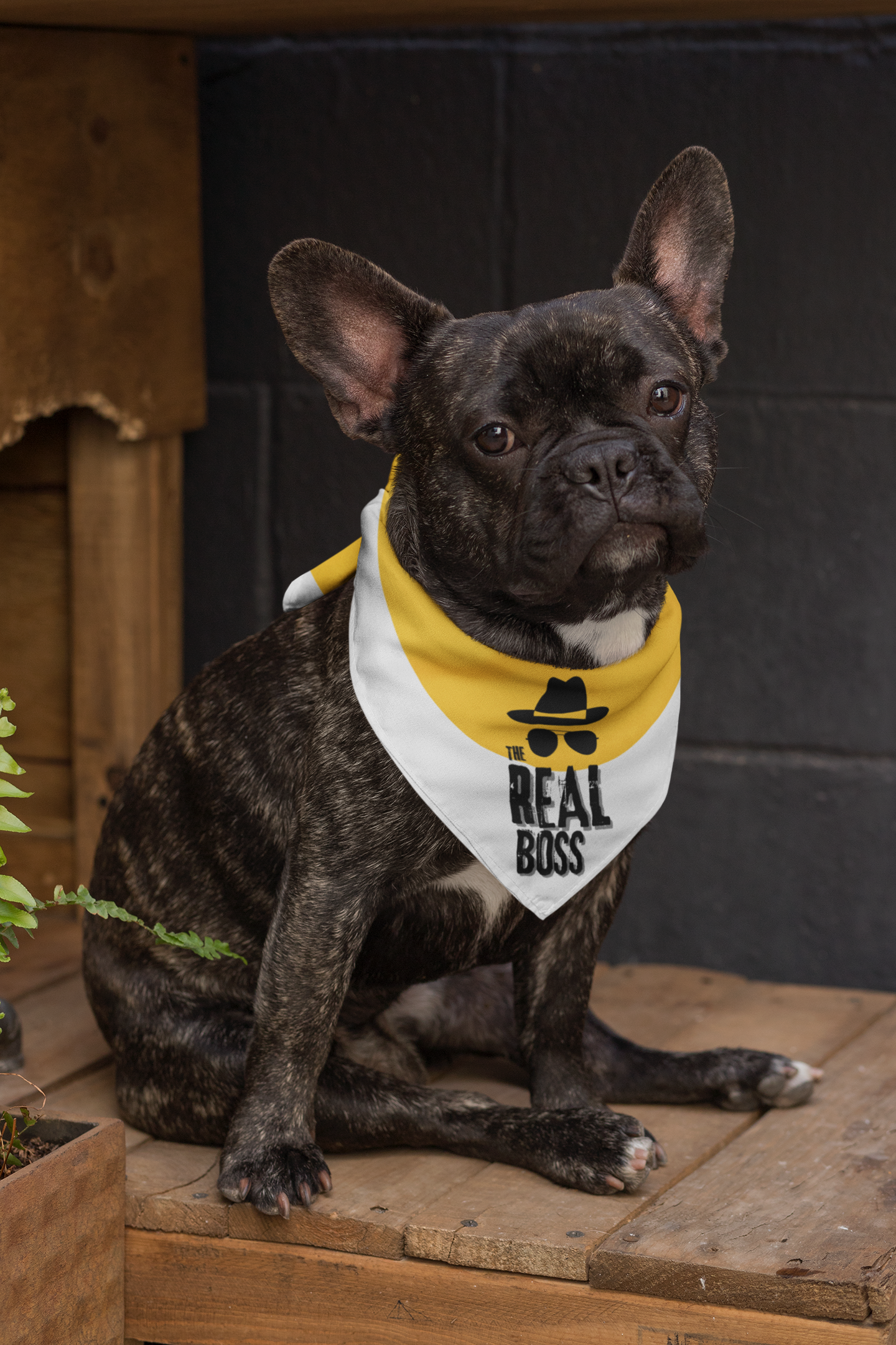 Dog bandana Who is The Boss