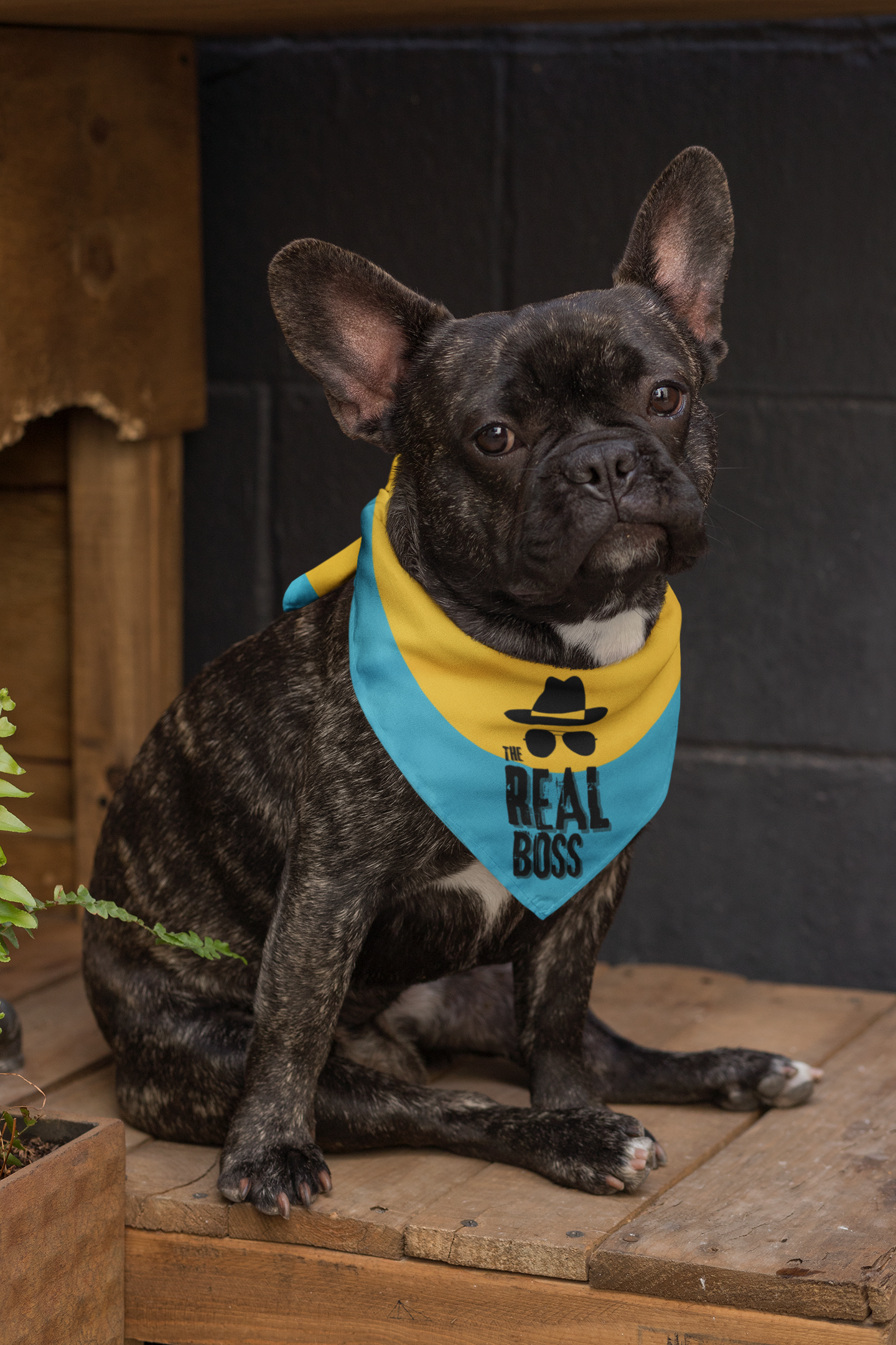 Dog bandana Who is The Boss