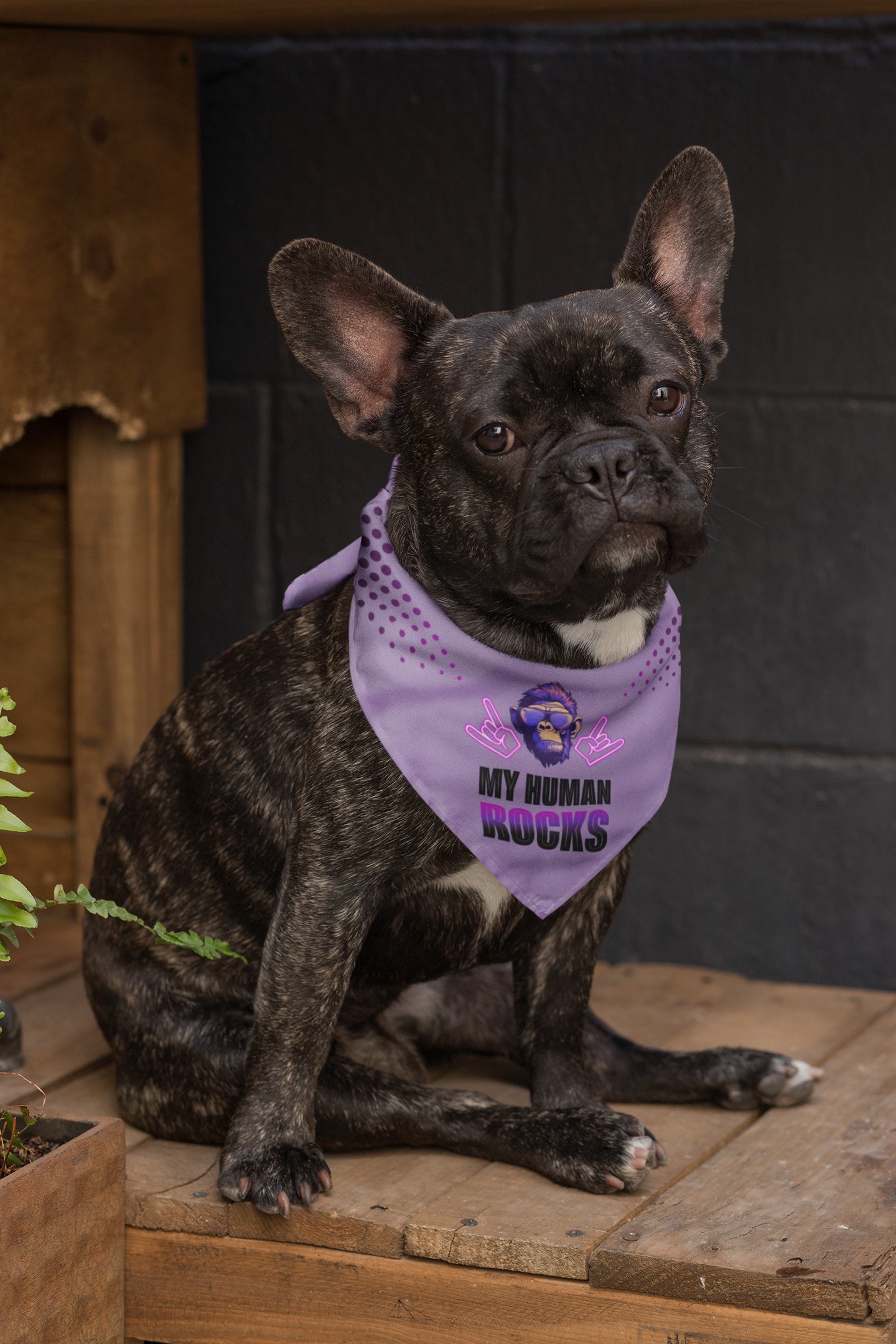 Dog bandana Cool Human / Pink