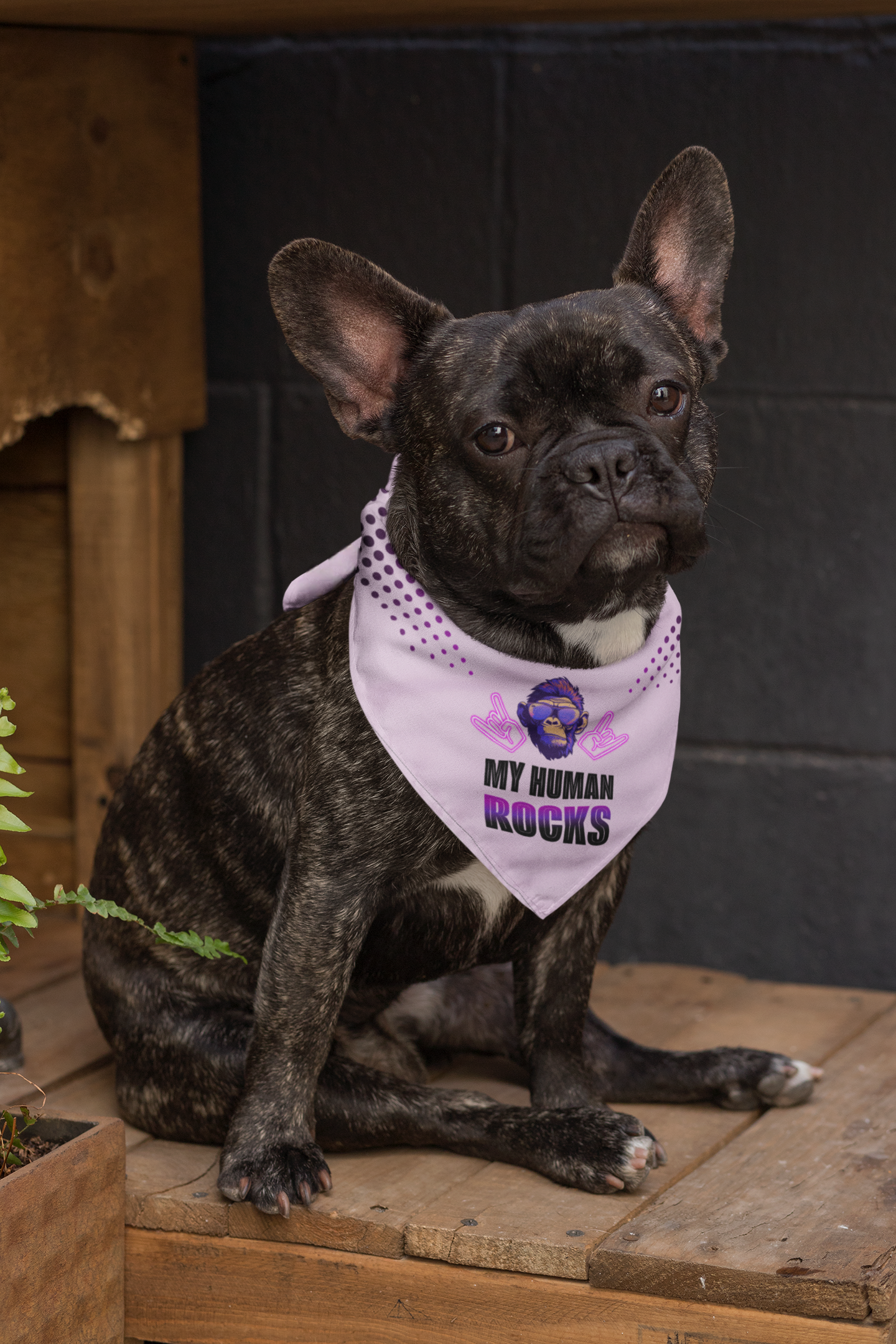 Dog bandana Cool Human / Pink