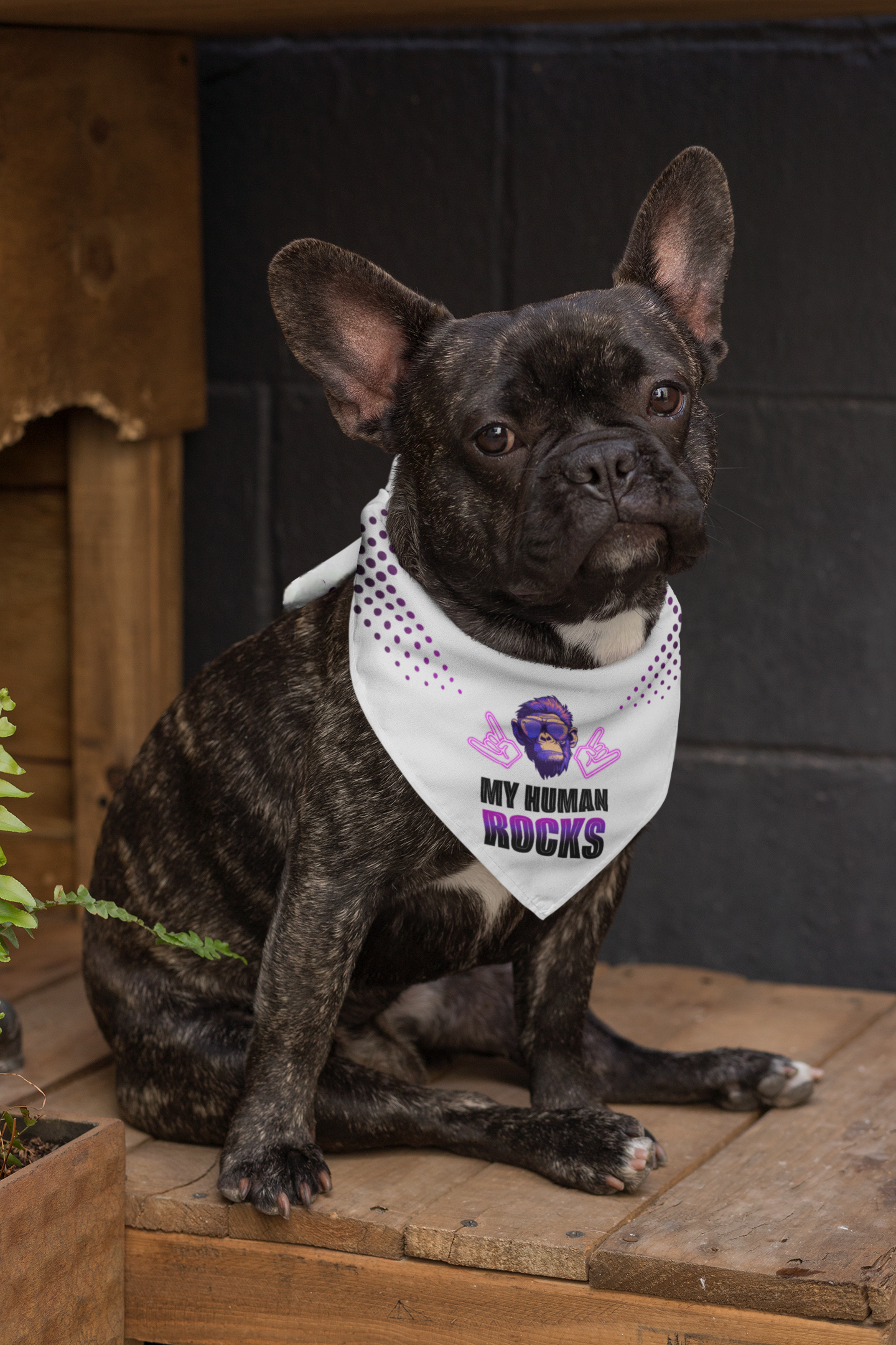 Dog bandana Cool Human / Pink