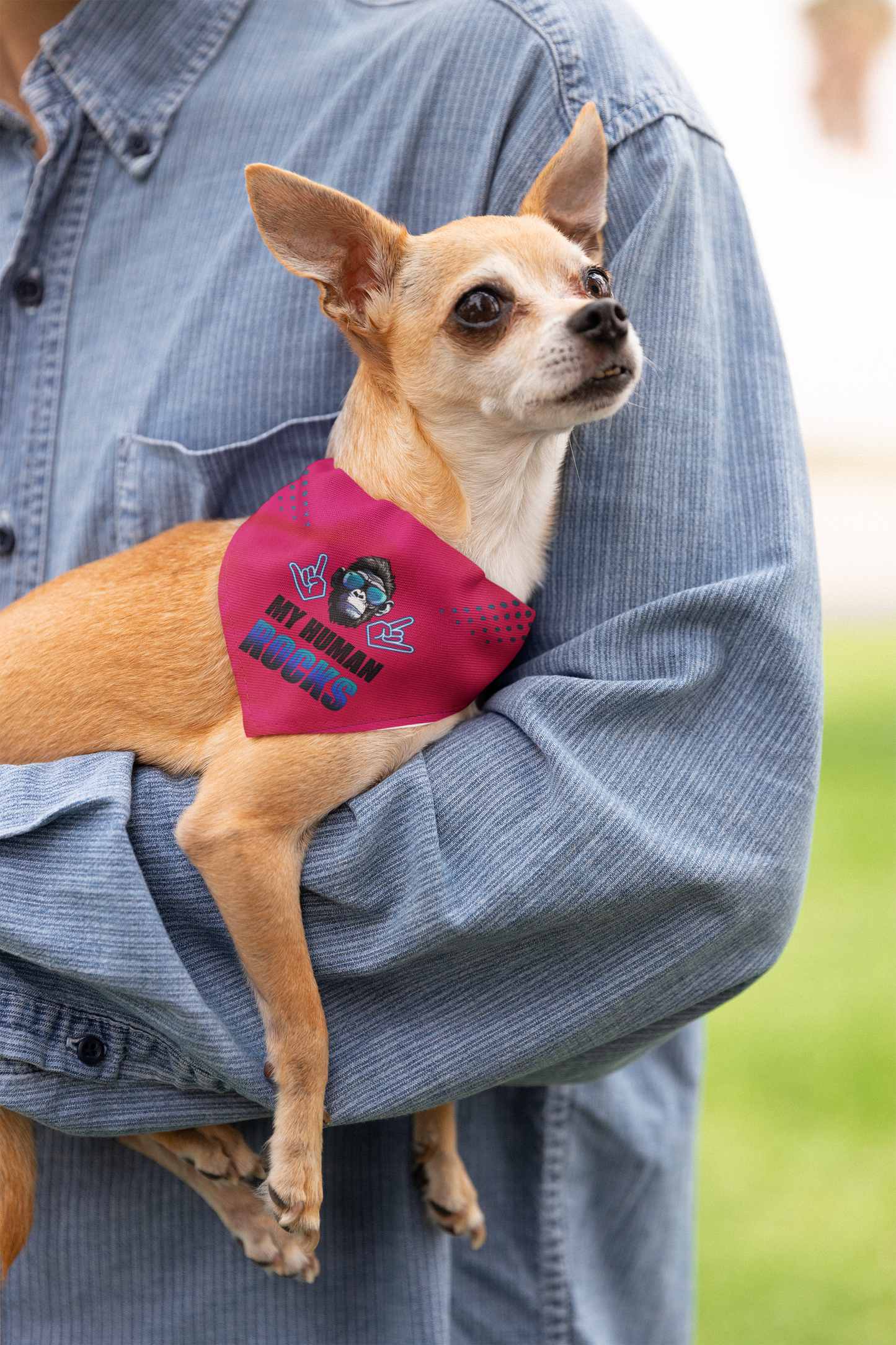 Dog bandana Cool Human / Blue