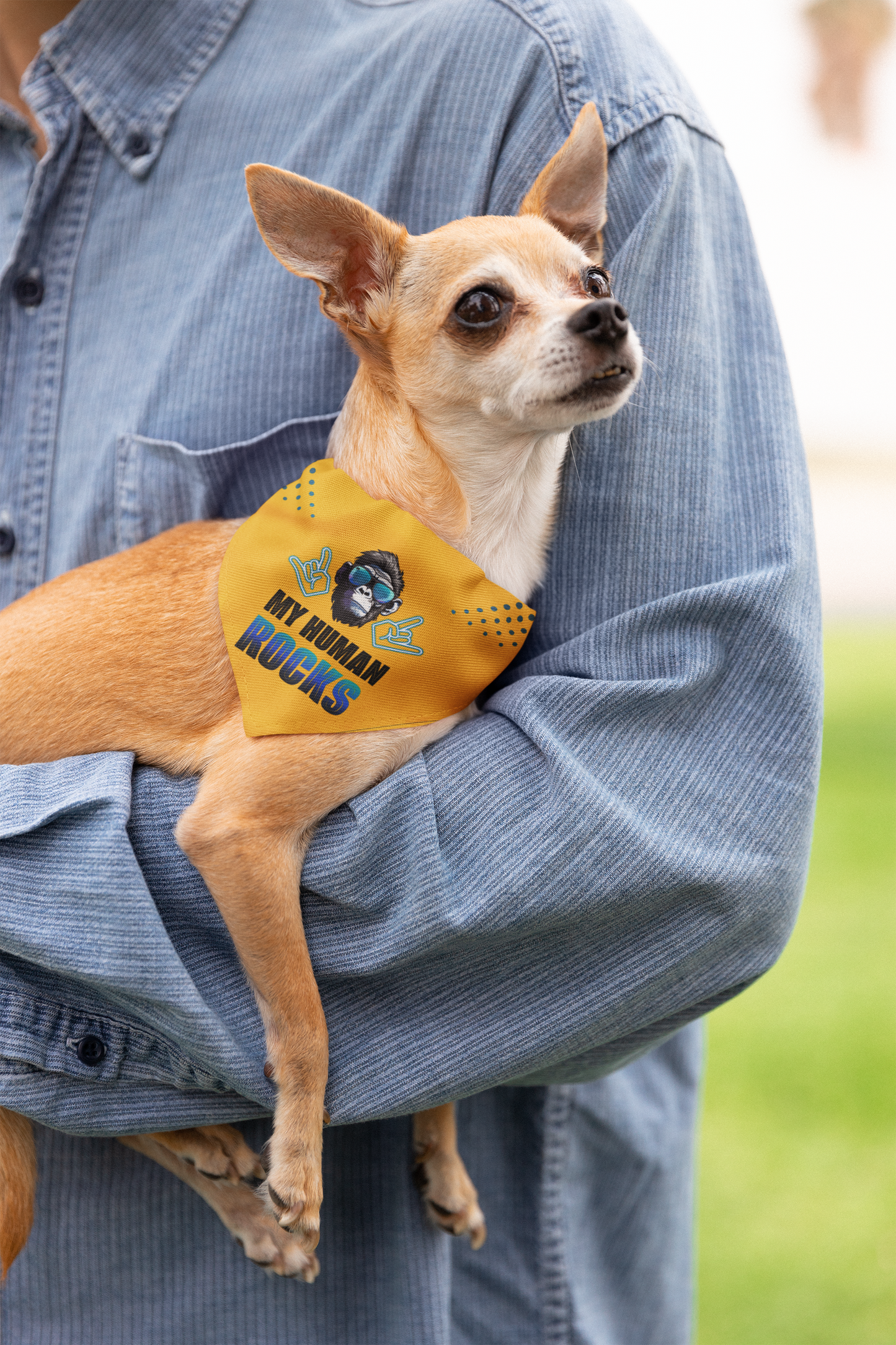 Dog bandana Cool Human / Blue