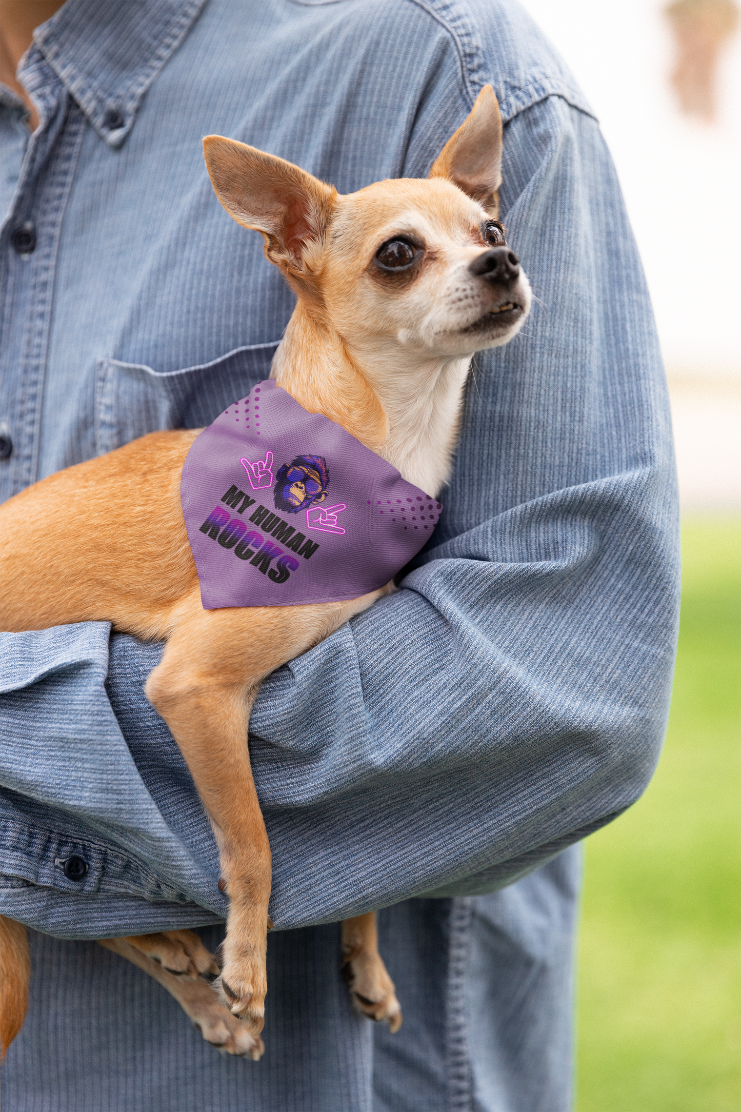 Dog bandana Cool Human / Pink