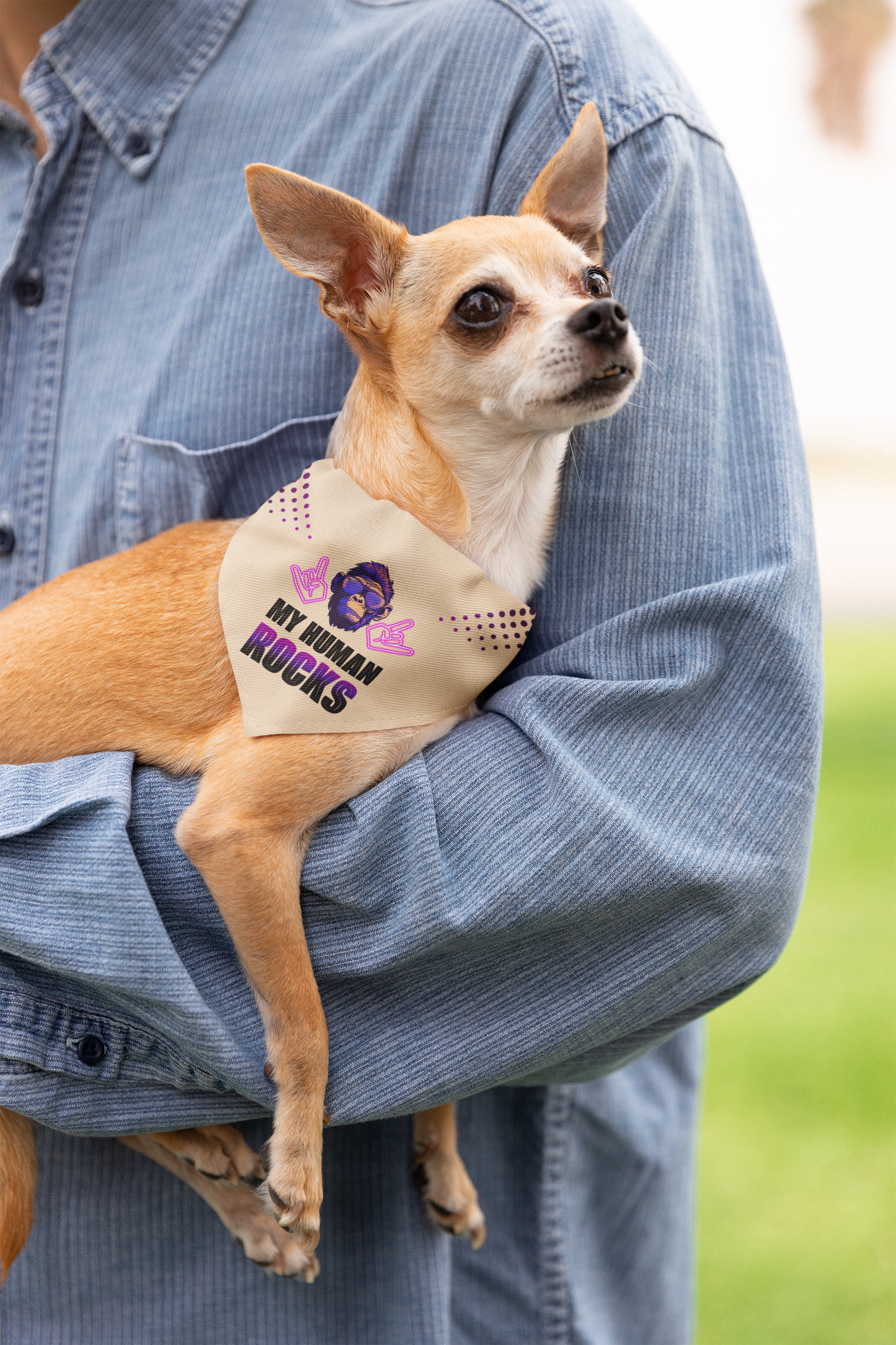 Dog bandana Cool Human / Pink