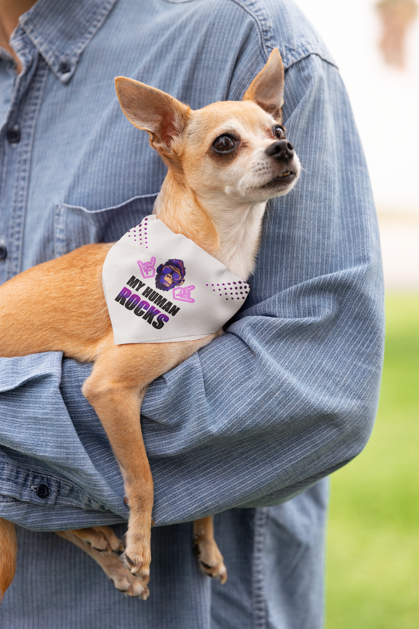 Dog bandana Cool Human / Pink