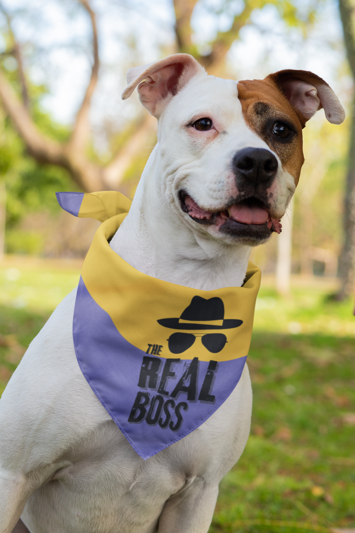 Dog bandana Who is The Boss