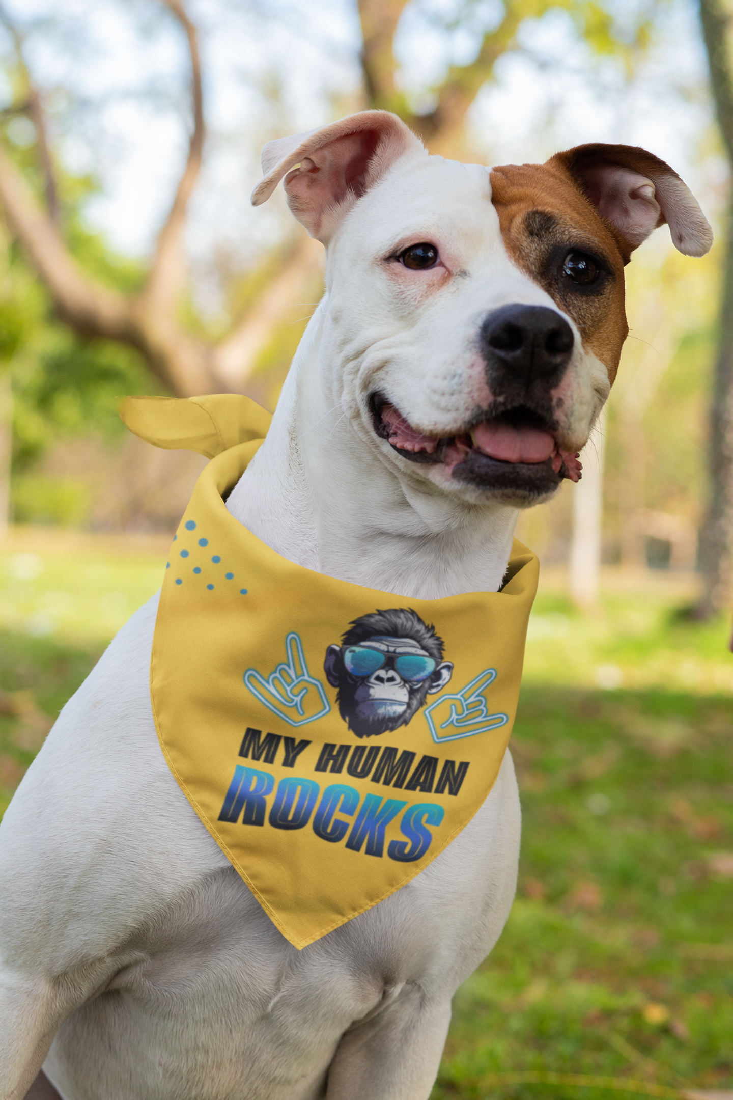 Dog bandana Cool Human / Blue