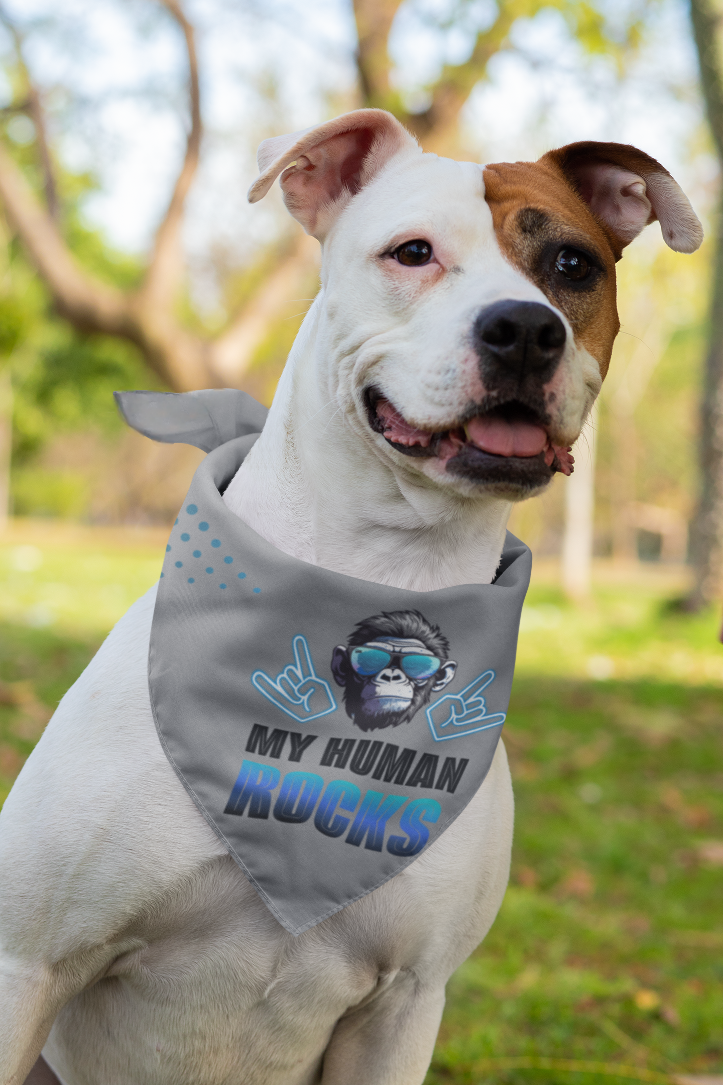 Dog bandana Cool Human / Blue