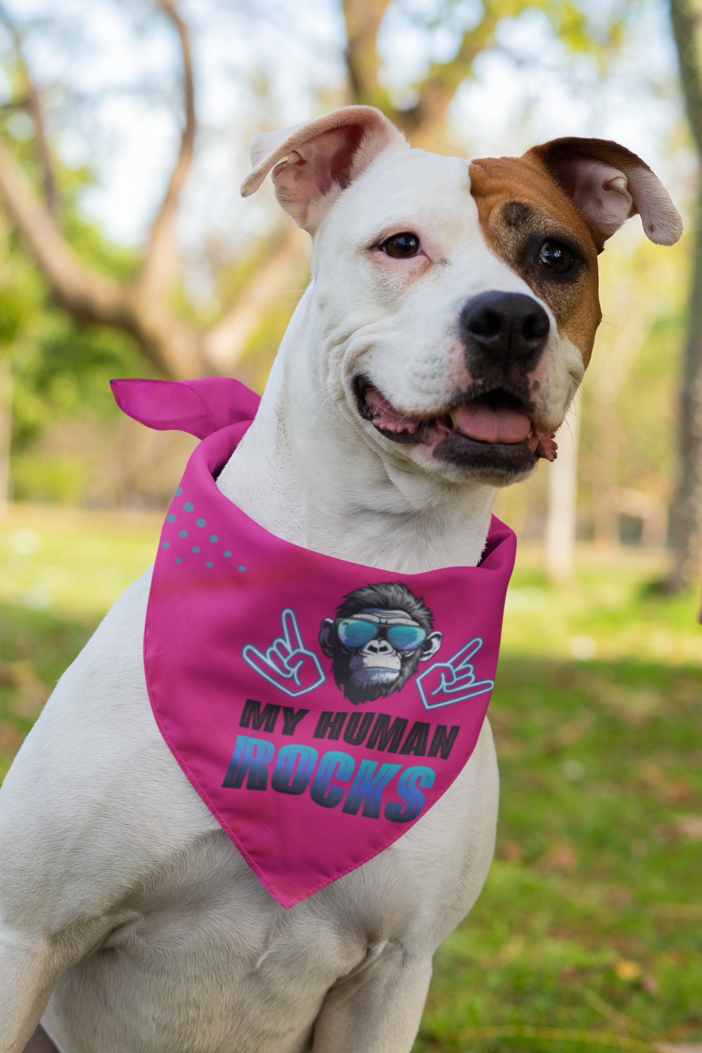 Dog bandana Cool Human / Blue